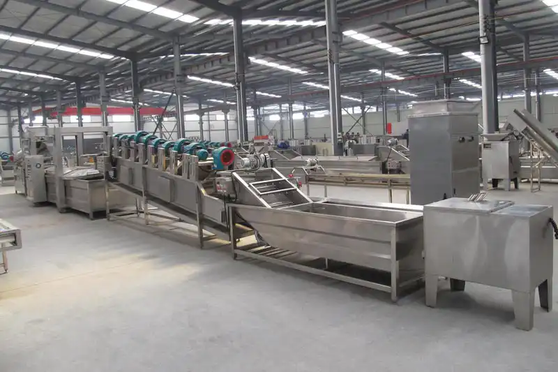 garlic processing line