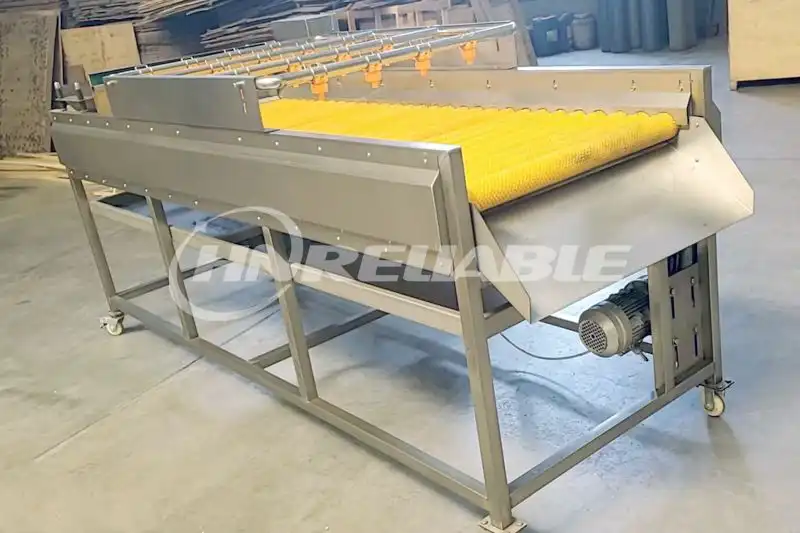 Brush roller spray cleaning machine