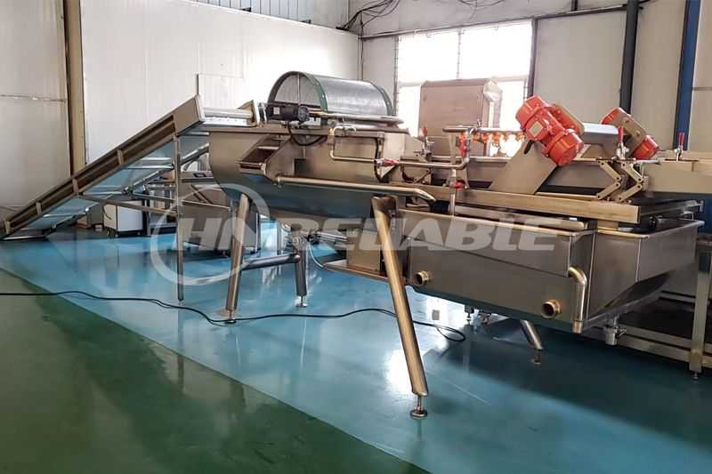 Leafy Vegetable & Salad Processing Line