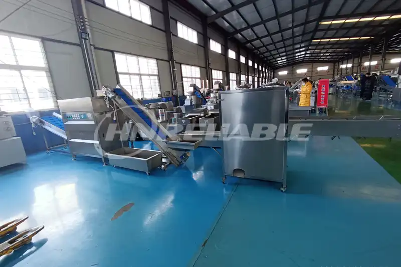 Onion Root Cutting And Peeling Line