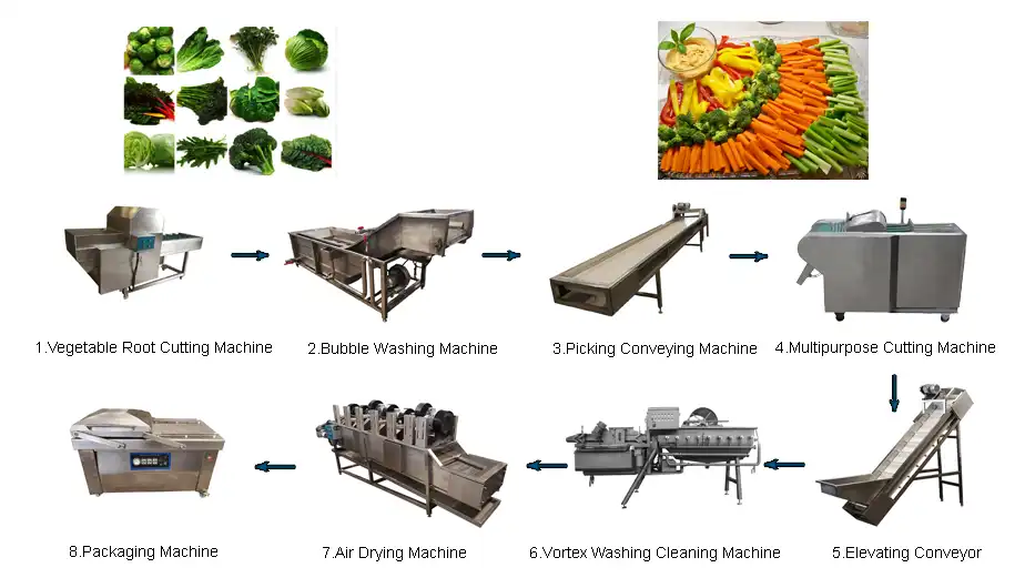 Leaf Vegetable Processing Line1