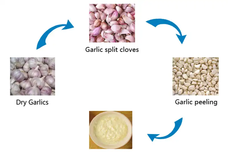 garlic paste